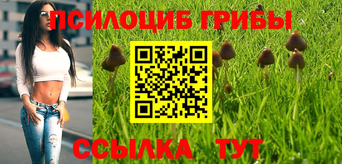 Псилоцибиновые грибы мухоморы  Галлюциногенные грибы мухоморы  Вход с VPN  Тольятти 