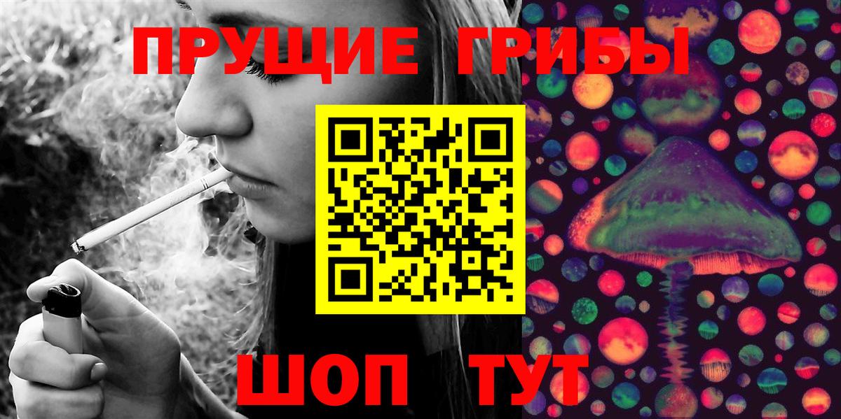 Псилоцибиновые грибы Psilocybe Тольятти